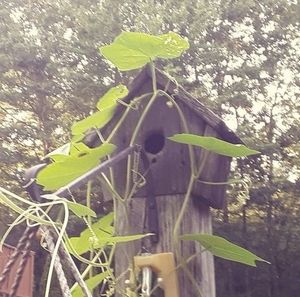 Meet your Posher, Eileen